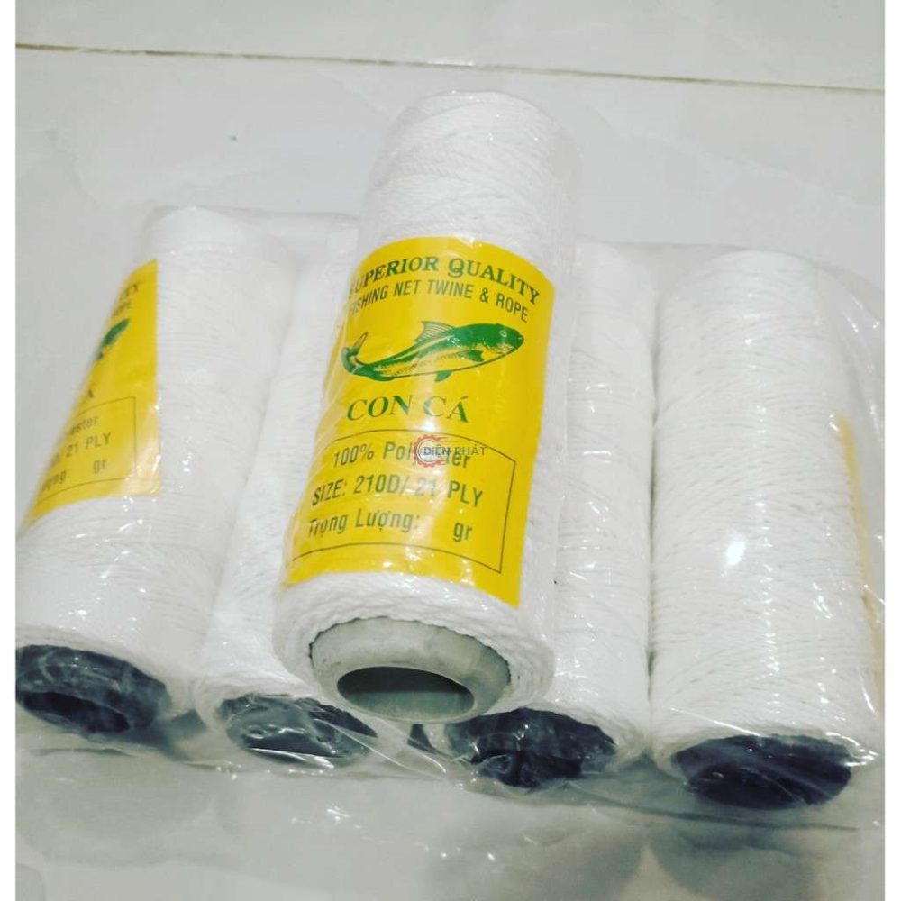 Chỉ con cá số 9 vừa